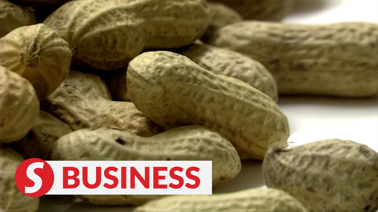 Nestle secures peanut allergy treatment