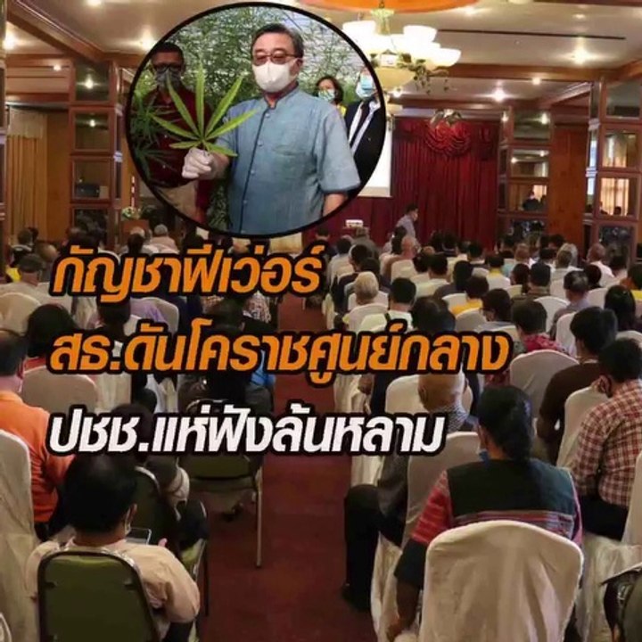 กัญชาฟีเว่อร์ สธ.ดันโคราชศูนย์กลาง ปชช.แห่งฟังล...