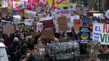 El grito de los animalistas argentinos contra el acuerdo para proveer de carne de cerdo a China