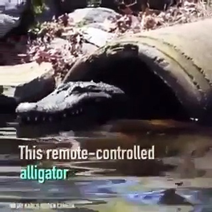 Il s’amuse à faire peur aux gens qui profitent de l’eau avec sa tête de crocodile télécommandée