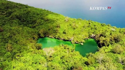 Sebuah Pulau di Buton Dijual, Menteri KKP: Dikelola Boleh Tapi Jangan Dijual Ke Asing