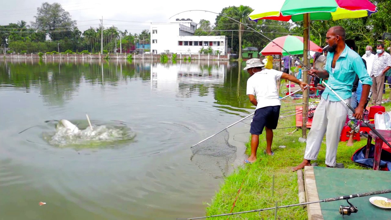 Amazing Fish Hunting | Monster Amazing Fish Catching by Fishing Rod in Village Pond
