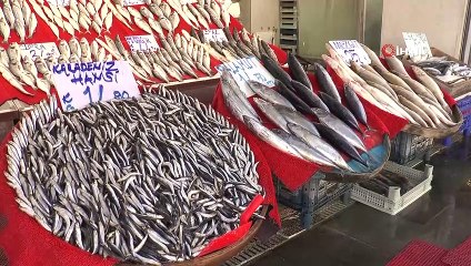 Balıkçılar yeni sezondan ümitli