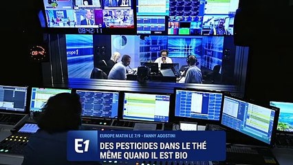 Marketing mensonger, traces de pesticides... Faut-il encore boire du thé industriel ?