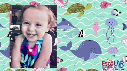 EscoLAR Educacional - Tia Lu - VIDEOAULA 04 - (Semana 13)