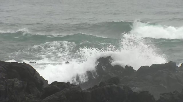 [날씨] 무더위 속 내륙 소나기...8호 태풍 '바비' 북상 / YTN