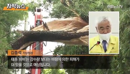 [자막뉴스] 시속 216km 태풍 '바비' 온다…제주·서해안 피해 우려