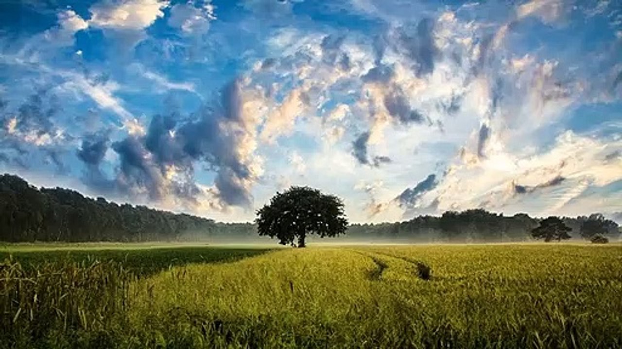 Nature Mirage Theme 2