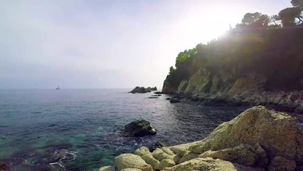 Sonido relajante mar y gaviotas