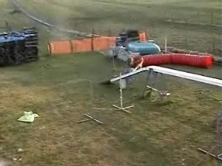 Chips agility 10mois