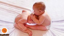 Funny Twins Baby Arguing Over Everything 21 Funny Babies And Pets