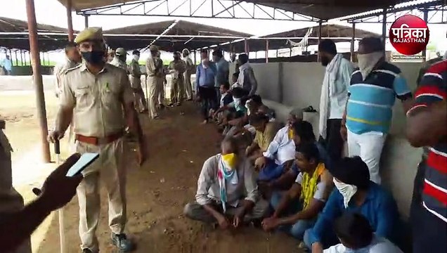 VIDEO : पाली : मुर्गों को लड़ाकर तबेले में खेले रहे थे जुआ, पुलिस ने किया भंडाफोड़, 64 जुआरी गिरफ्तार