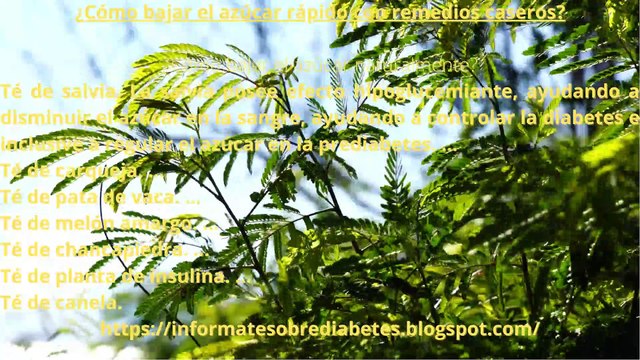 remedios caseros para la diabetes y el colesterol