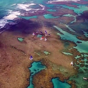 Praia De Porto De Galinhas Vista De Cima Por Um Drone | Porto De Galinhas Beach