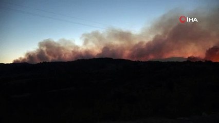 Kozanda 200 hektardan fazla orman alanı kül oldu