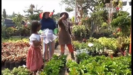 Pandemi Covid-19, Sentra Tanaman Hias di Batu Diserbu Warga