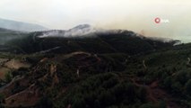 Yanarak kül olan yüzlerce hektar kızılçam ormanı havadan görüntülendi
