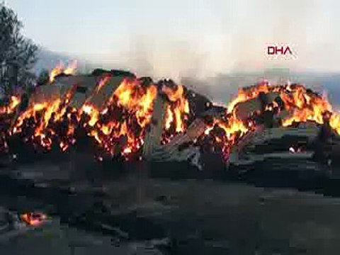 Malkara’da 7 bin saman balyası yandı