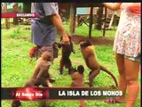 La isla de los monos: un refugio de supervivencia en la amazonía