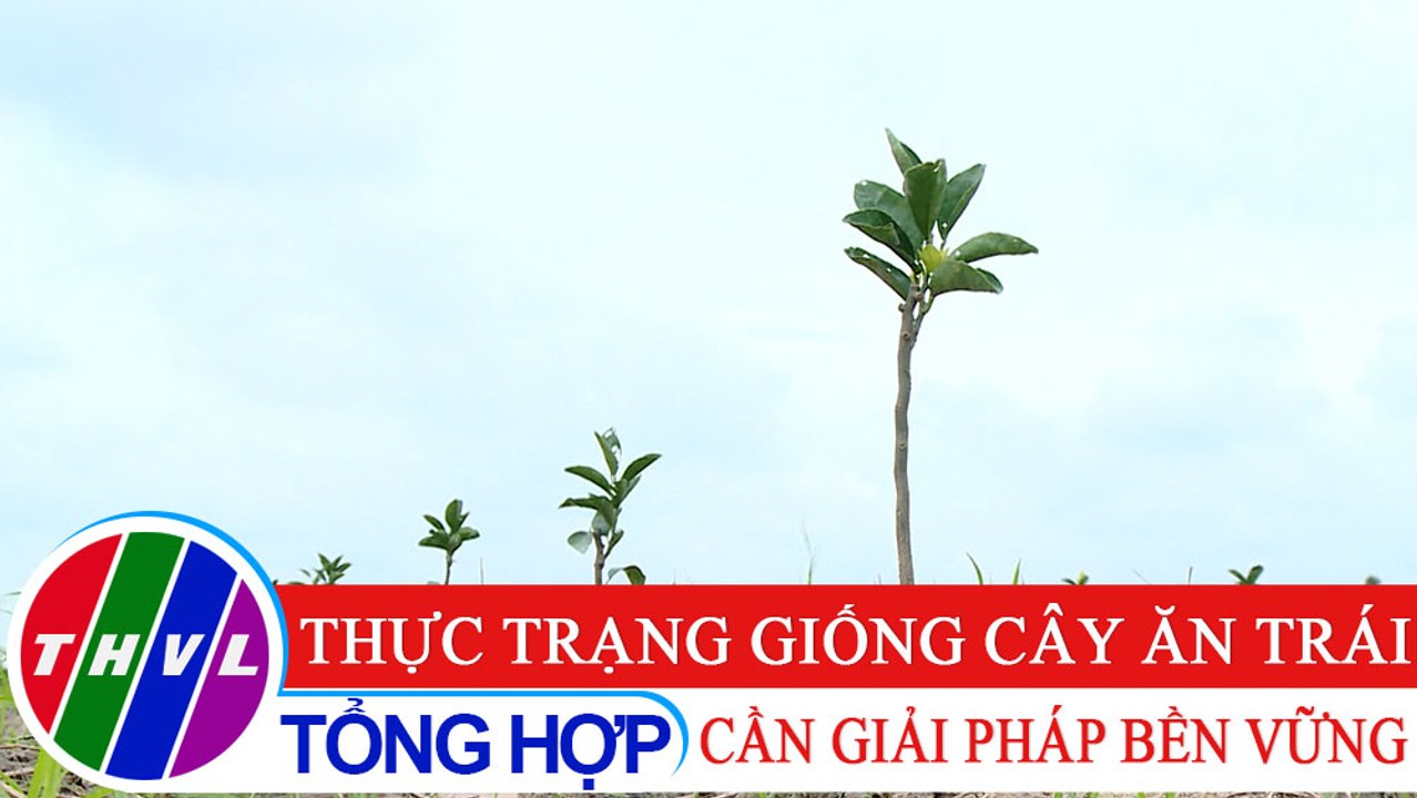 Nông nghiệp bền vững: Thực trạng giống cây ăn trái - Cần giải pháp bền vững