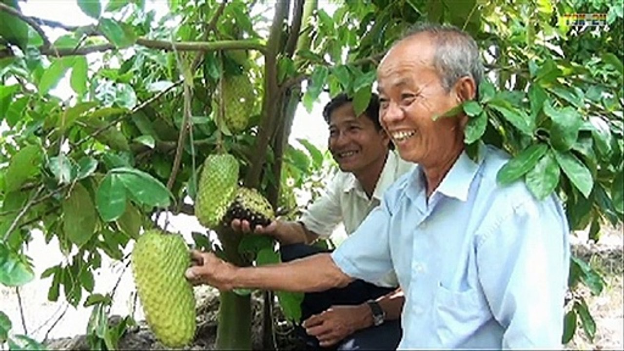 WOW! Amazing Agriculture Technology - Sugar Apple & Soursop