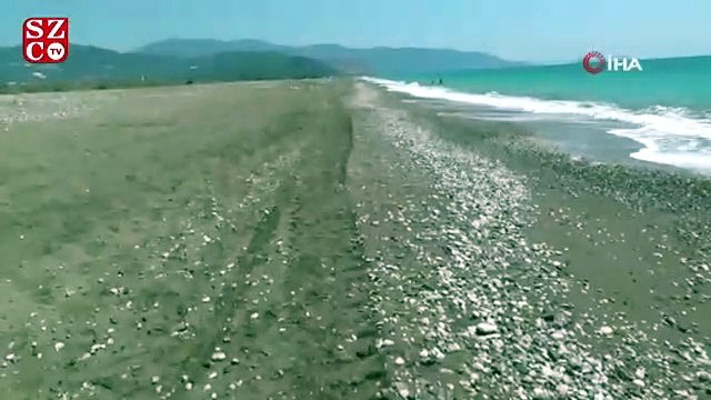 Sahilde çalışma yapılan iş makinesi, caretta caretta yuvalarını dağıttı