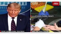 Trump announces emergency authorisation of plasma to treat coronavirus patients