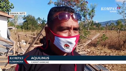 Puting Beliung Terjang 2 Rumah Warga Sikka