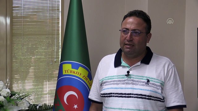 Toplaması zahmetli dikenli incirde hedef ihracat - MERSİN