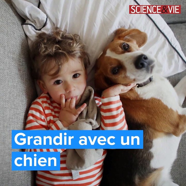Grandir avec un chien est bénéfique pour les enfants