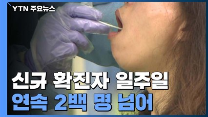 신규 확진자 발생 일주일째 2백 명 넘어..."기하급수적 증가 위험" / YTN