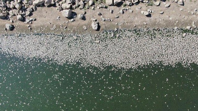 Bursa’da tedirgin eden görüntü