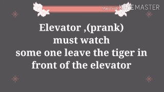Elevator (PRANK)  Must Watch .  Some one leave  the Tiger in front of the Elevator.