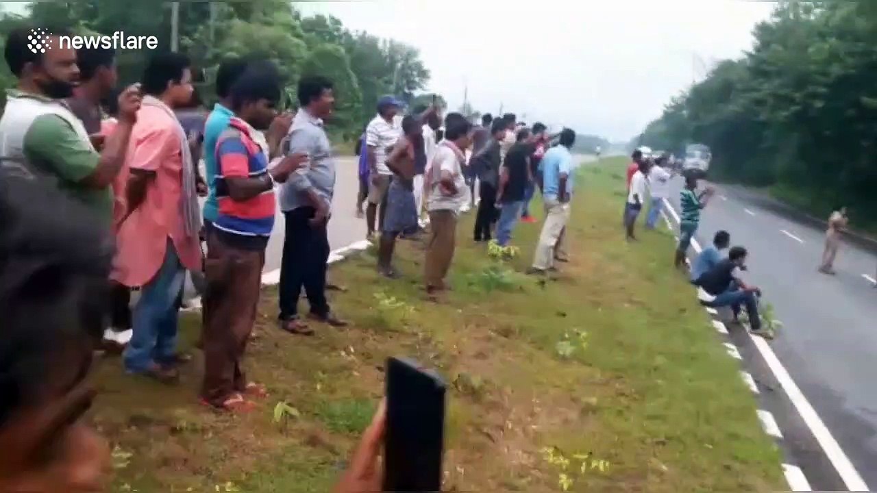 Residents in east India shocked when wild eleph...