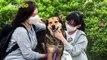 Tips to Adopting a Dog During the COVID-19 Pandemic