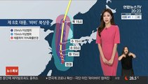 [날씨] 태풍 '바비', 밤부터 제주 비…차츰 전국 확대