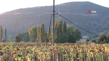 2,5 kilometrelik telefon kablolarını çalmak istediler
