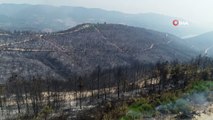 Adana'daki yangında tahribatın büyüklüğü böyle görüntülendi