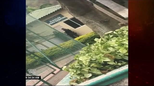 Alias Brandon fue aprehendido por agredir a policías en urbanización en el cantón Daule