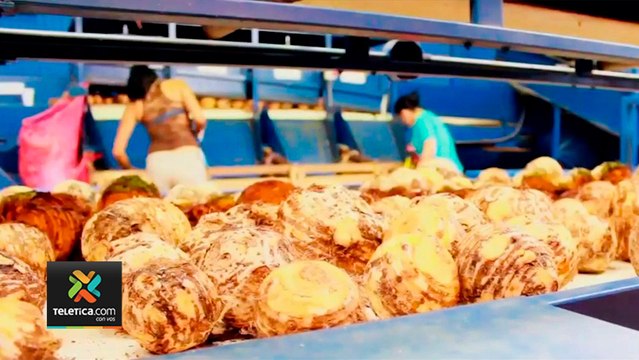 tn7-exportaciones-240820