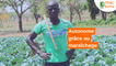 Burkina Faso : Autonome grâce au maraîchage
