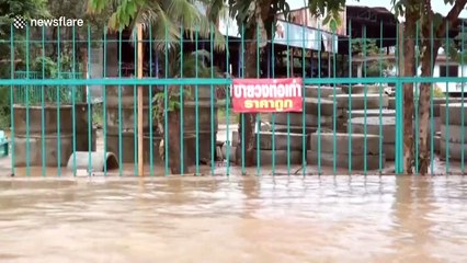 Homes flooded as heavy rain causes river to overflow in northern Thailand