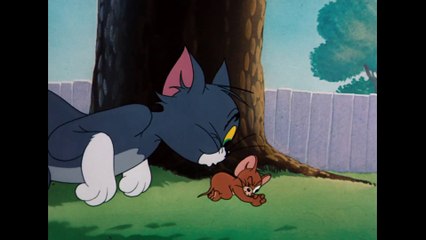 Tom & Jerry - Feeling Adventurous! - Classic Cartoon Compilation - WB Kids