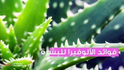 فوائد الألوفيرا للبشرة وطرق استخدام جل الألوفيرا