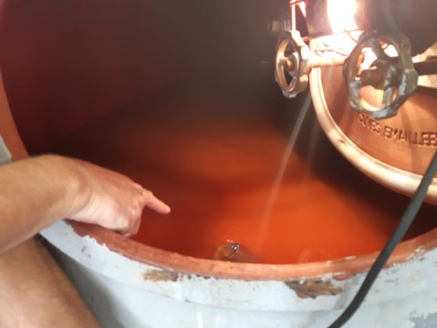 Vendanges à la coopérative de la Brèche à Ay Champagne