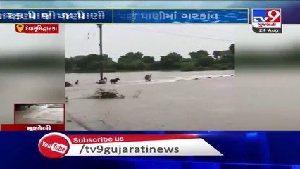 On cam_ Cattle washed away by floodwater in Beraja village of  Dwarka