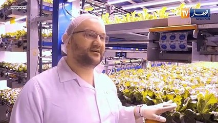 ثورة زراعية وسط الصحراء..دبي تسعى لتعزيز أمنها الغذائي