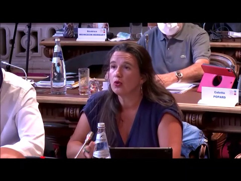 Céline MAGLICA. Tarification exceptionnelle de la restauration scolaire à 2€. Session du 24 aout 2020