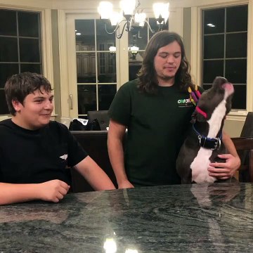 Turbo the Dog Sings Along to Happy Birthday