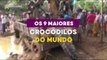 9 MAIORES CROCODILOS DO MUNDO - Baita Curiosidades -